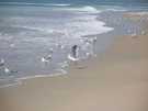  �����  ���  majorda beach 5*  