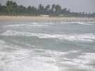  �����  ���  majorda beach 5*  ������ ��� ������������.