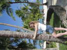  ����������  Punta Cana  Barcelo Bavaro  