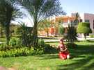  ������  �������  Sindbad beach 4*  ���������� �����
