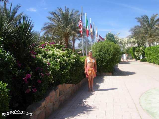  Египет  Шарм Эль Шейх  Sonesta beach 5*  перед пляжем