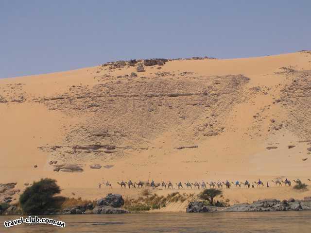  Египет  Асуан  А  вот и караван  идущий по  берегу Нила