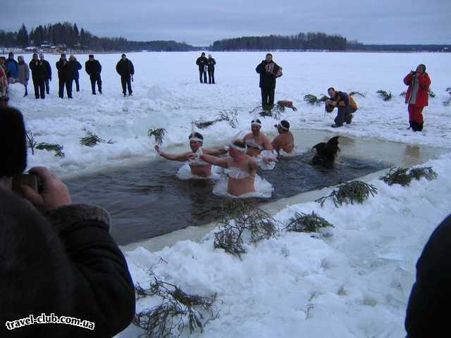  Россия  Селигер  турбаза Сокол  Если лебеди оказались моржами)))