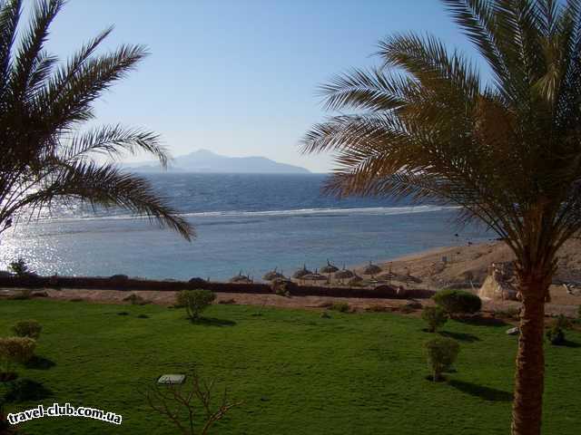  Египет  Шарм Эль Шейх  Calimera hauza beach resort 4*  Это наш вид с балкона. Доплатили 70$, и получили просто п