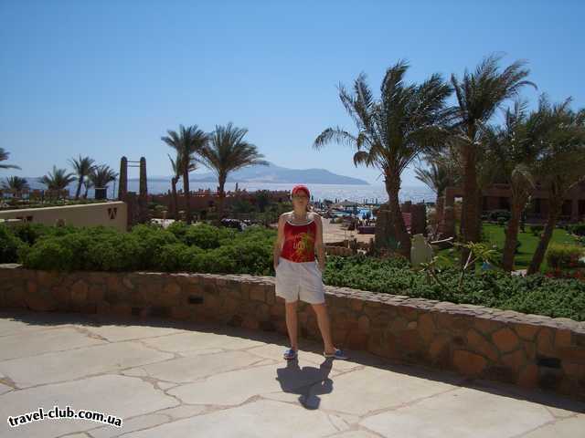  Египет  Шарм Эль Шейх  Calimera hauza beach resort 4*  Прогулка по территории отеля, она огромная. На террито