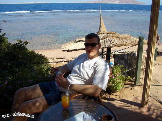  Египет  Шарм Эль Шейх  Calimera hauza beach resort 4*  Мой спутник, мой любимый человечек ...