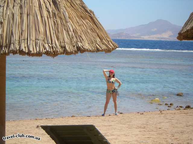  Египет  Шарм Эль Шейх  Calimera hauza beach resort 4*  
