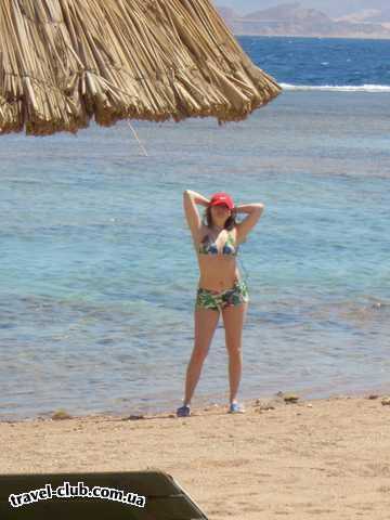  Египет  Шарм Эль Шейх  Calimera hauza beach resort 4*  