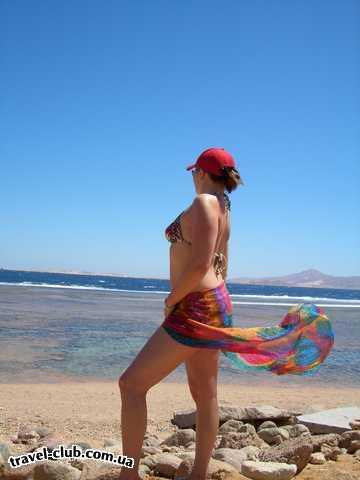  Египет  Шарм Эль Шейх  Calimera hauza beach resort 4*  Правда красивая фотка, я её даже на рабочий стол в комп