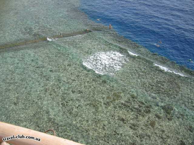  Египет  Шарм Эль Шейх  Dreams beach 5*  Над кораллами находится понтон, по которому вы доходит