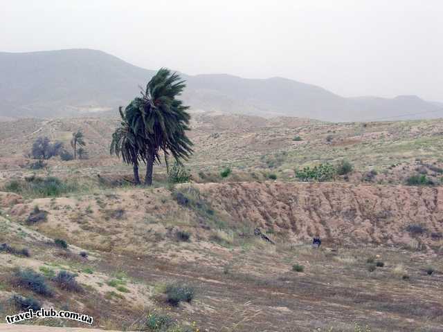  Тунис  Матматта. Начало песчаной бури.