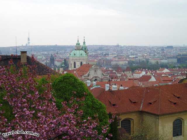  Чехия  Прага  AMBRA  Прага в цвету