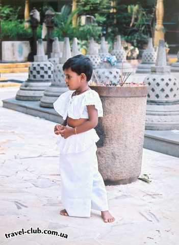  Шри-Ланка  Ланкийская девчушка в буддийском храме Гангарамайя в 