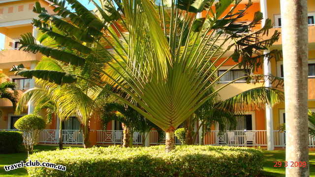  Доминикана  Punta Cana  Gran Bahia Principe 5*   отель