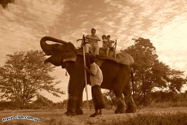  Шри-Ланка  ..прогулка на слоне!
