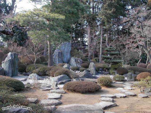  Япония  Токио  Японский сад