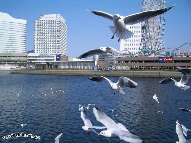  Япония  Yokohama  