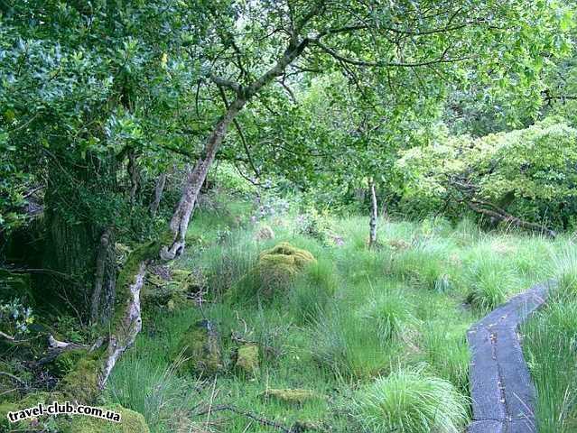  Ирландия  Killarney  Killarney National Park