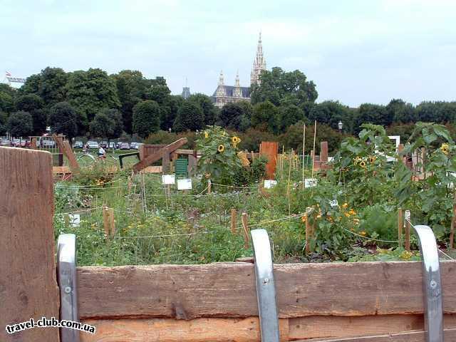  Австрия  Вена  Год 1945-2005. Огород на пл. Героев в Вене перед Хофбургом