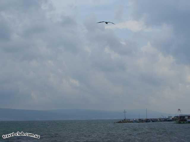  Болгария  Море волнуется....