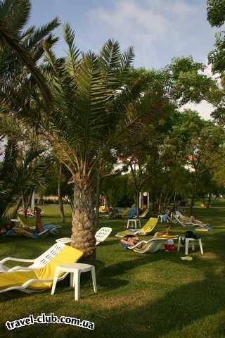 Турция  Алания  Alantur club 4*  Вот такие лежаки на траве в тени деревьев. На пляже поч