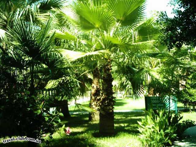  Турция  Алания  Green Fugla Beach (4 ****)  Впринципе мало что говорит данная фотография. Но скажу