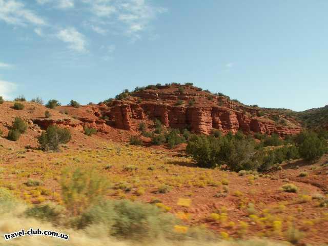  США  New Mexico  По дороге к национальному парку Jemez