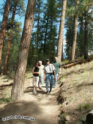  США  New Mexico  Jemez. По дороге к водопаду Jemez Falls.