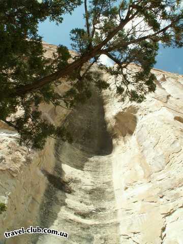  США  New Mexico  Национальный парк El Morro - здесь стекала вода (?).