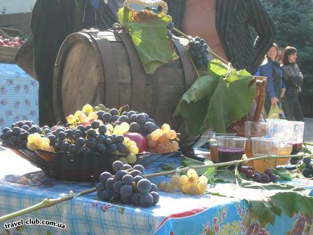 Молдавия  Фалешты (ФЭЛЕШТЬ) Вино и виноград  абсолютно БЕСПЛАТНО 