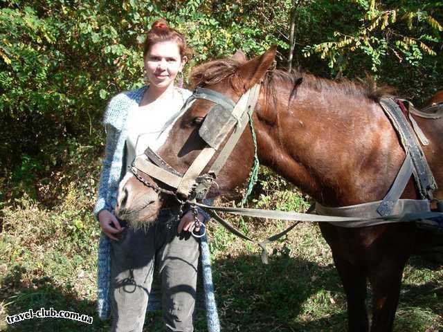  Молдавия  Лошадь друг человека