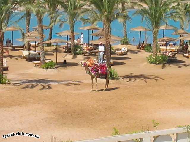 Египет  Хургада  Reemyvera Beach 4*  вид из номера, соседний пляж отеля Lililend 4*