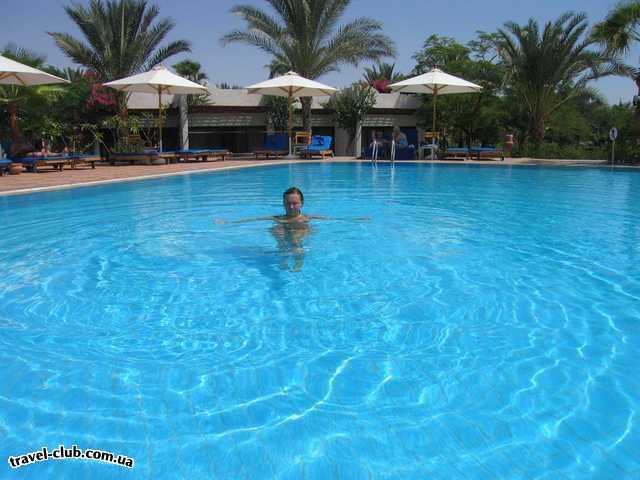  Египет  Шарм Эль Шейх  Hilton fayrouz 4*  в бассейне
