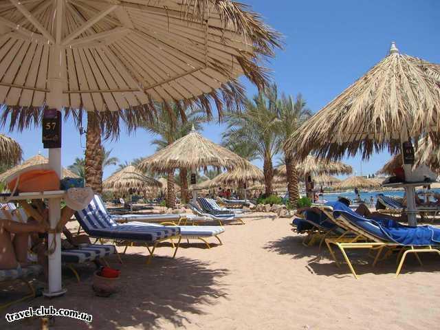  Египет  Шарм Эль Шейх  Hilton fayrouz 4*  пляж отеля
