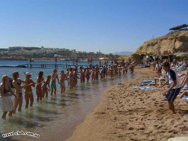  Египет  Шарм Эль Шейх  Royal Rojana Resort 5*  Танцы в море!:))