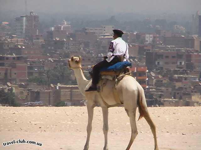  Египет  Шарм Эль Шейх  Sierra 4*  