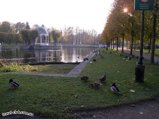  Эстония  Таллинн  В парке