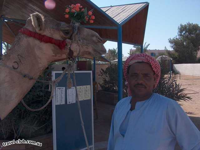 Египет  Хургада  Regina style 4*  смешной Максимка со своим верблюдом-Оскаром. Если захо