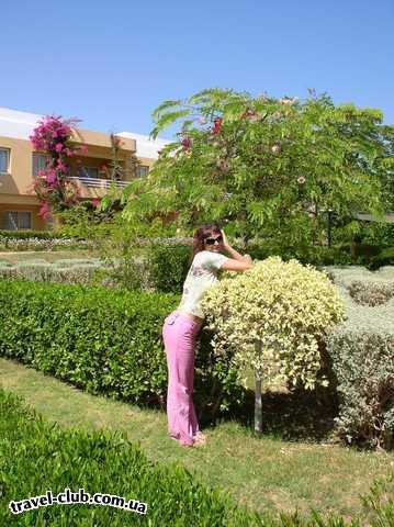  Египет  Хургада  Calimera resort 4*  Природа! 