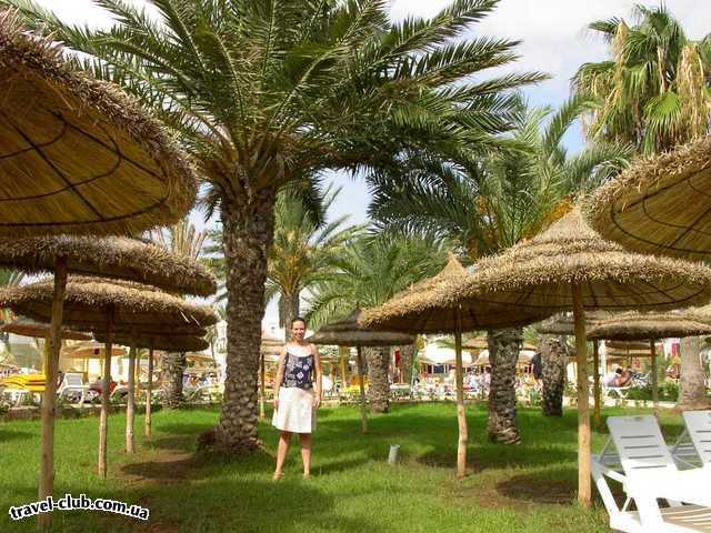  Тунис  Монастир  Houda Golf Beach  спрятаться под пальмой между зонтиков гигантов