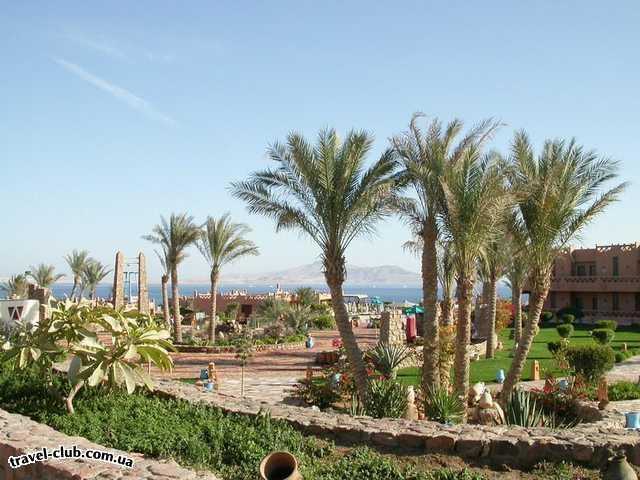  Египет  Шарм Эль Шейх  Hauza Beach Resort 4+ (Ex. Calimera)  Вид на центральную часть отеля