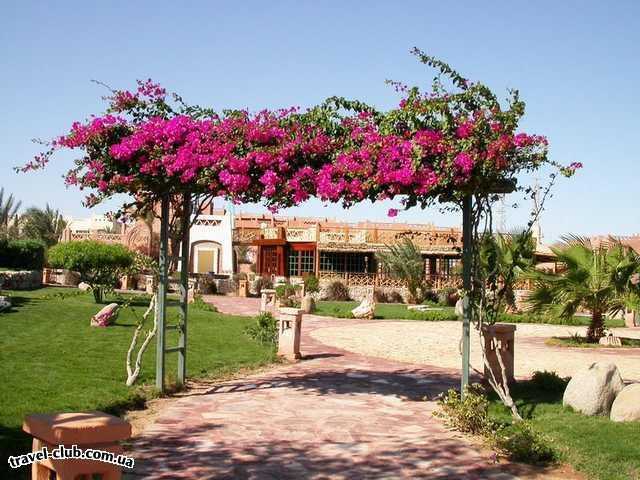  Египет  Шарм Эль Шейх  Hauza Beach Resort 4+ (Ex. Calimera)  Цветочная арка
