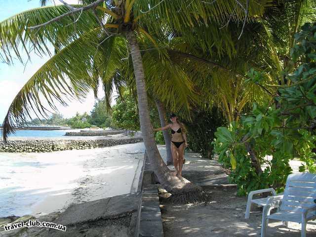  Мальдивские о-ва  атолл Адду остров Ган  Equator Village  Баунти