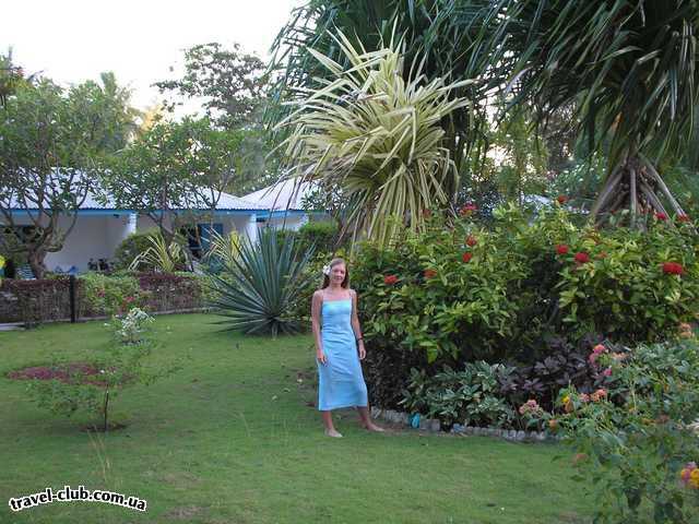  Мальдивские о-ва  атолл Адду остров Ган  Equator Village  в саду отеля