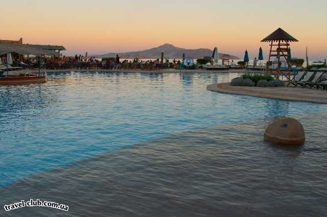  Египет  Шарм Эль Шейх  Calimera hauza beach resort 4*  Главный бассейн<br />
Pool ваr<br />
остров Тиран