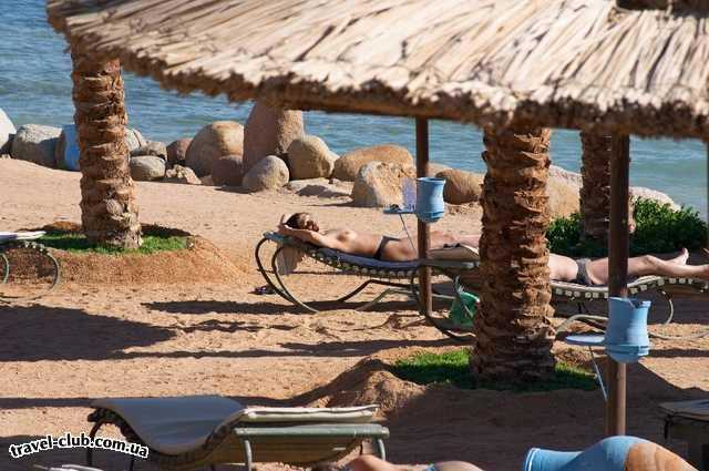  Египет  Шарм Эль Шейх  Calimera hauza beach resort 4*  Пляж