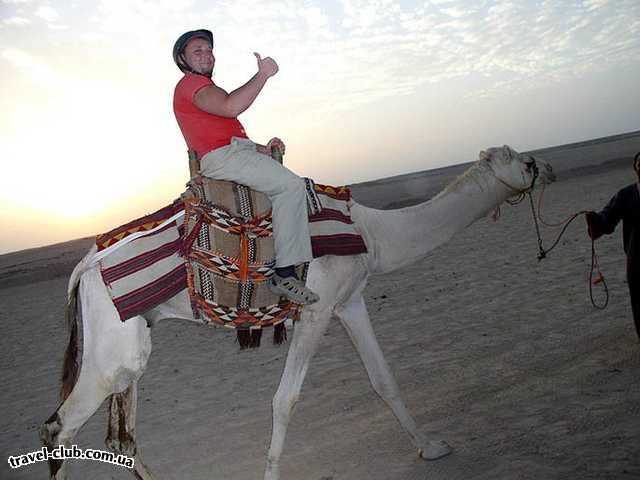  Египет  Хургада  Sultan beach 4*  На верблюде