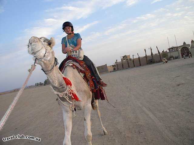  Египет  Хургада  Sultan beach 4*  Ксюха на верблюде