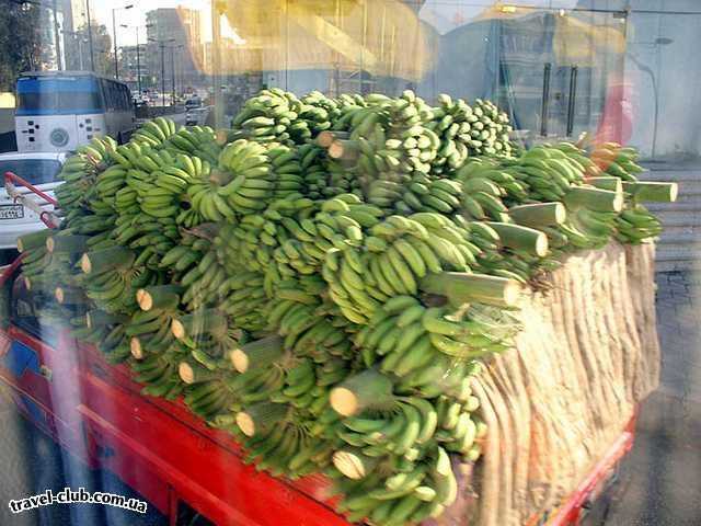  Египет  Хургада  Sultan beach 4*  Машина с бананами
