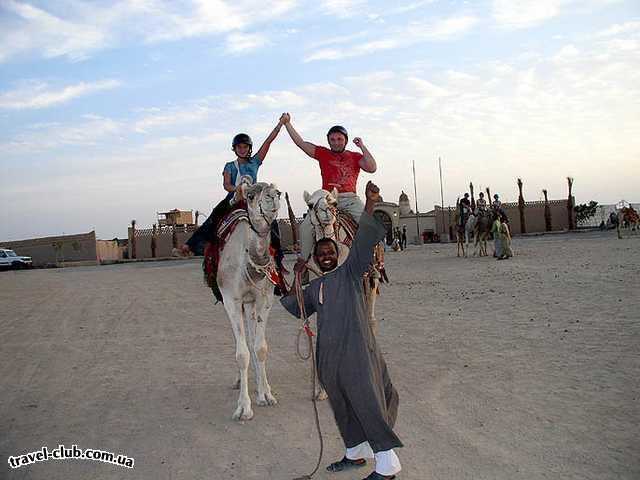  Египет  Хургада  Sultan beach 4*  На верблюдах